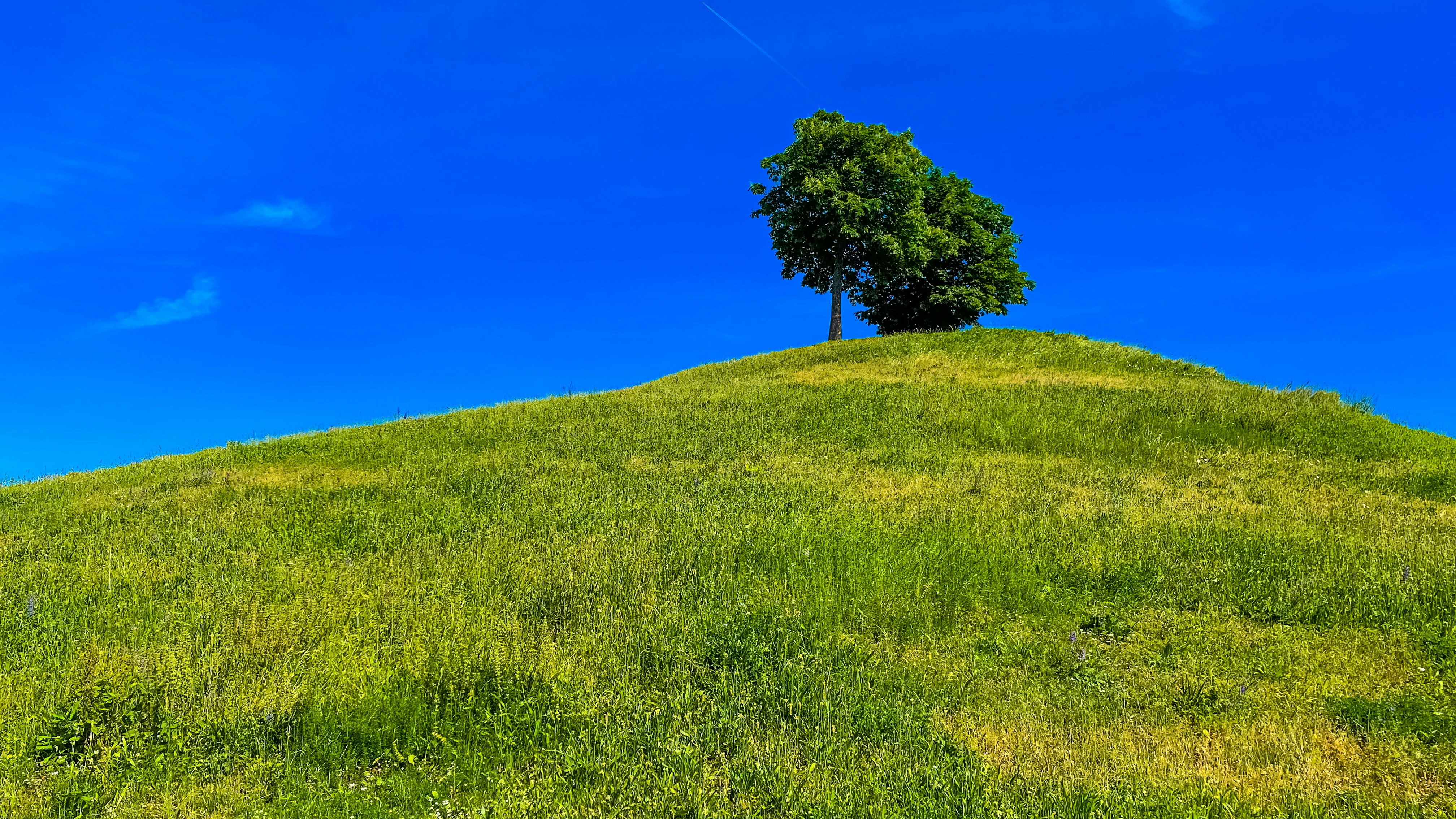 Wallpaper Windows XP